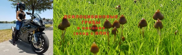 гашиш Белоозёрский