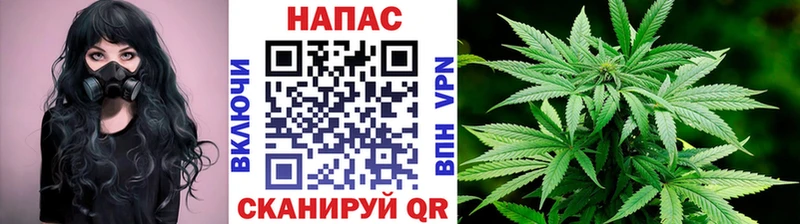 как найти закладки  OMG как зайти  Бошки марихуана гибрид  Губкинский 